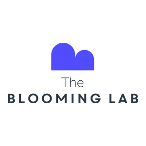 Blooming Lab. Consultoria de Internet